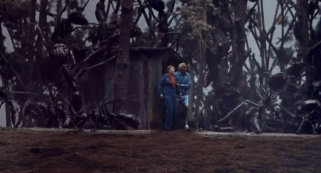 An old couple find out that the shack they've been hiding in is surrounded by the massive ants!