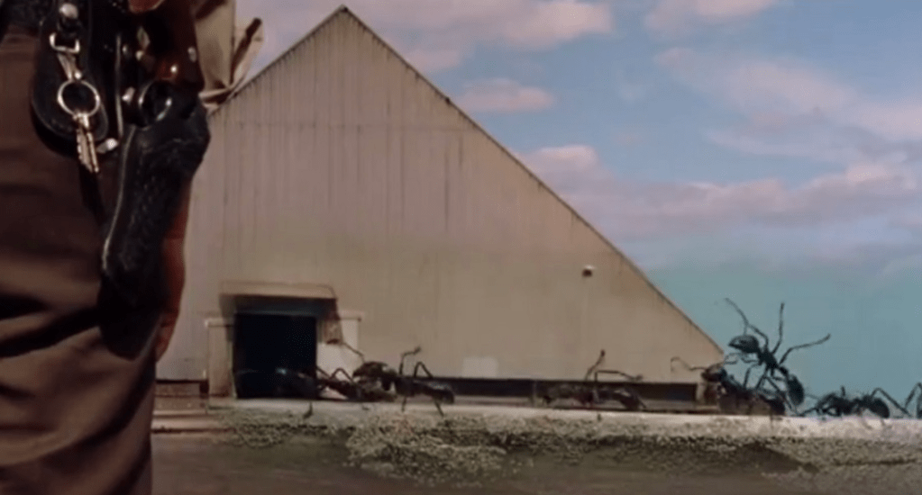 Ants march into the sugar factory for a sweet snack