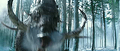 Giant pig on the loose!