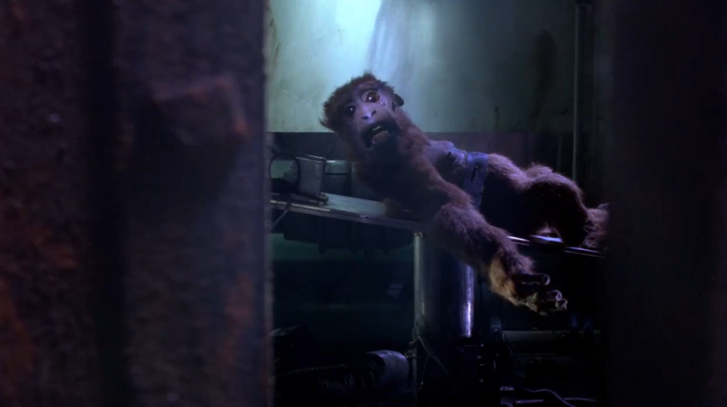 Many characters and creatures are victims, such as this stop-motion monkey