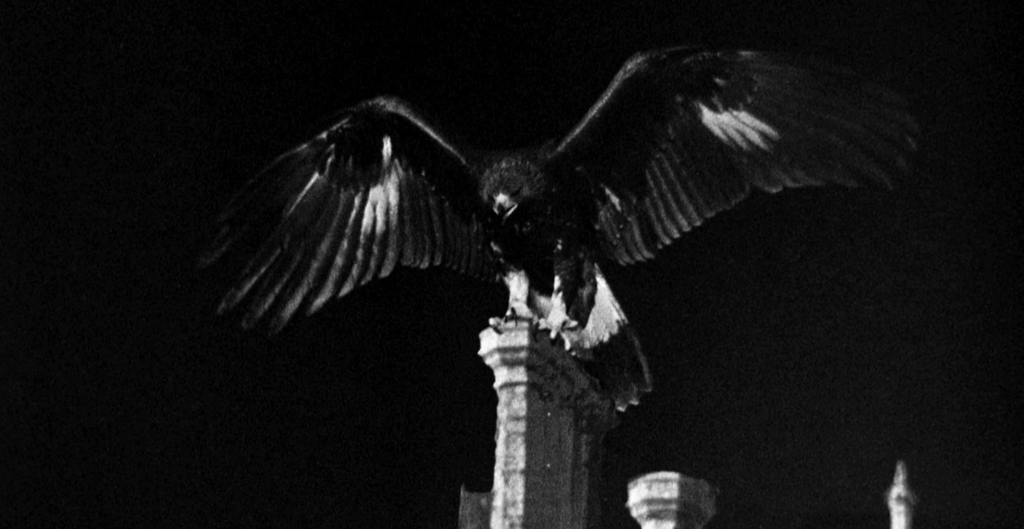 The statue becomes a real eagle