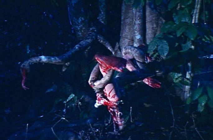 Severed limbs tangled amongst a killer tree's branches 