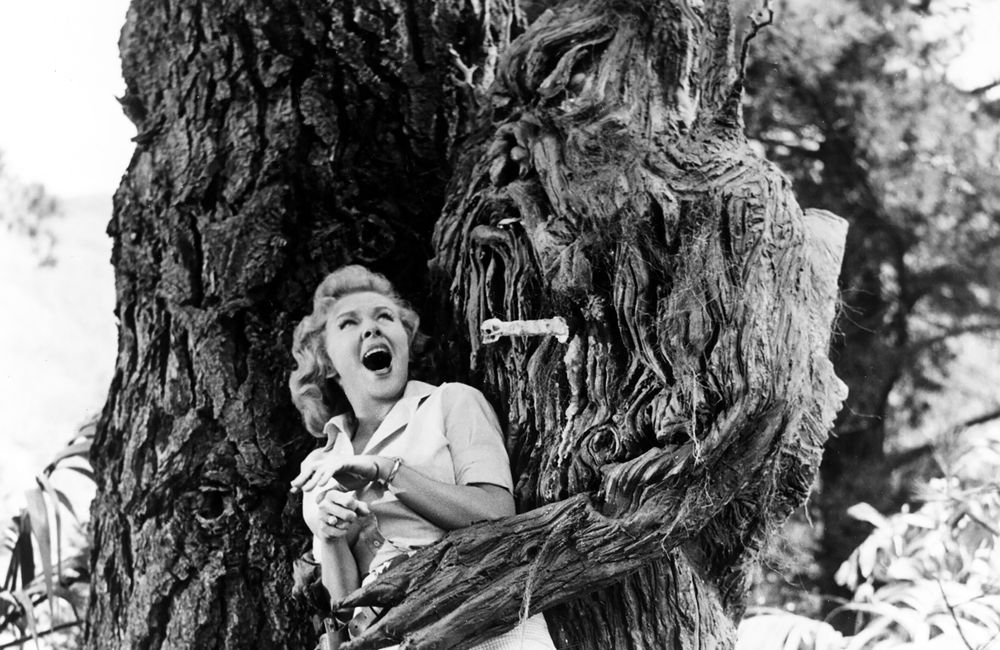 Stumpy likes the ladies