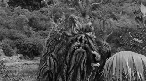 The angry stump stomps about!