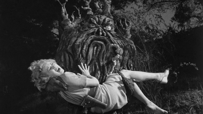 Angry tree stump on the loose!