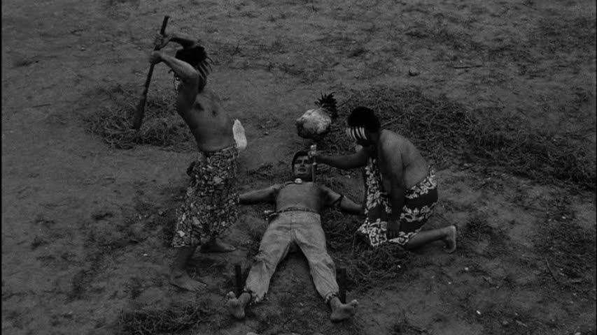 The prince is innocent! This is a travesty of justice! I hope he returns as a killer tree!