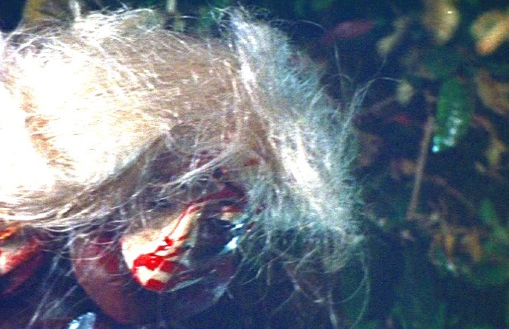 Okay, I admit: this isn't the most realistic severed head ever featured in a monster movie...