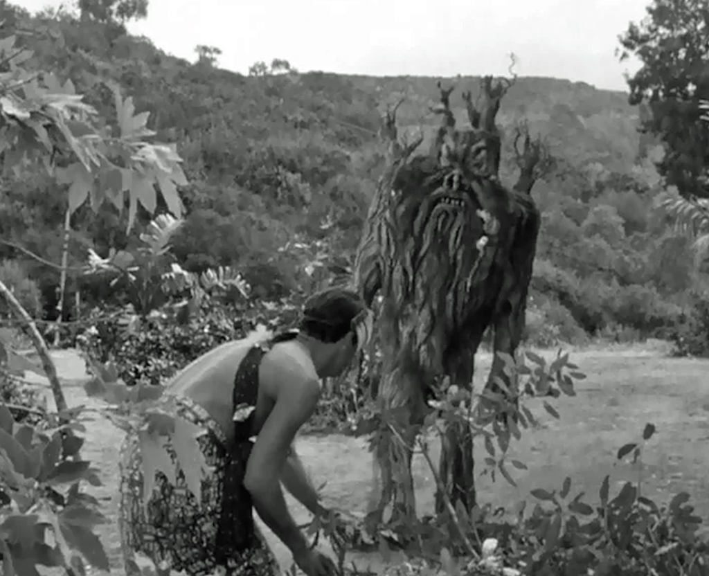 Please don't laugh! (Okay, you can if you want to)