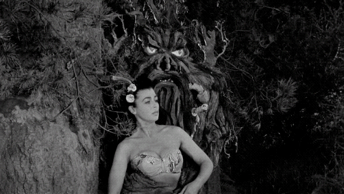 The sneering wooden lump strikes again!