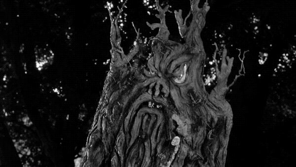 I'm rooting for Tabanga!