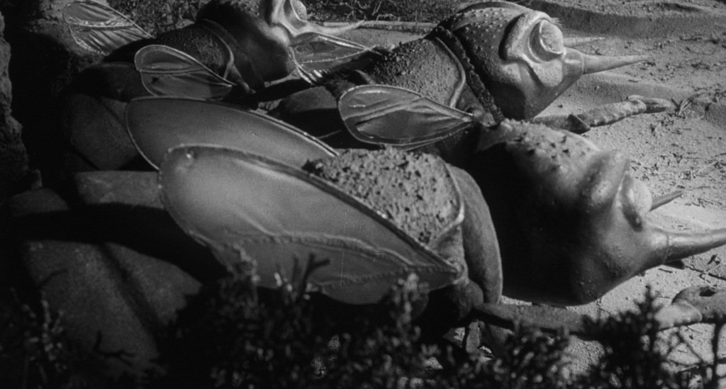 Huge insects on the march!