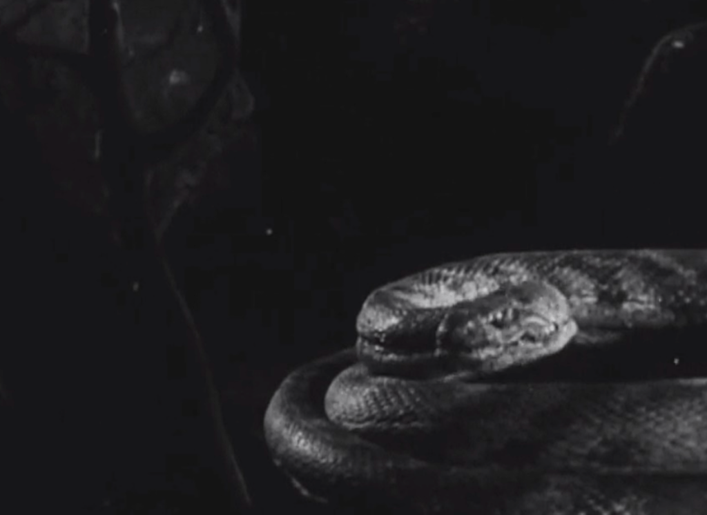 One scene features a stop-motion snake...