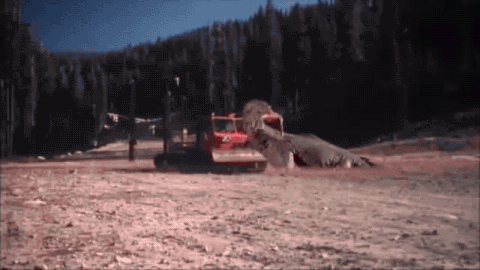 Chewed up then thrown away!