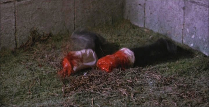 ...and then the second leg is shot off!