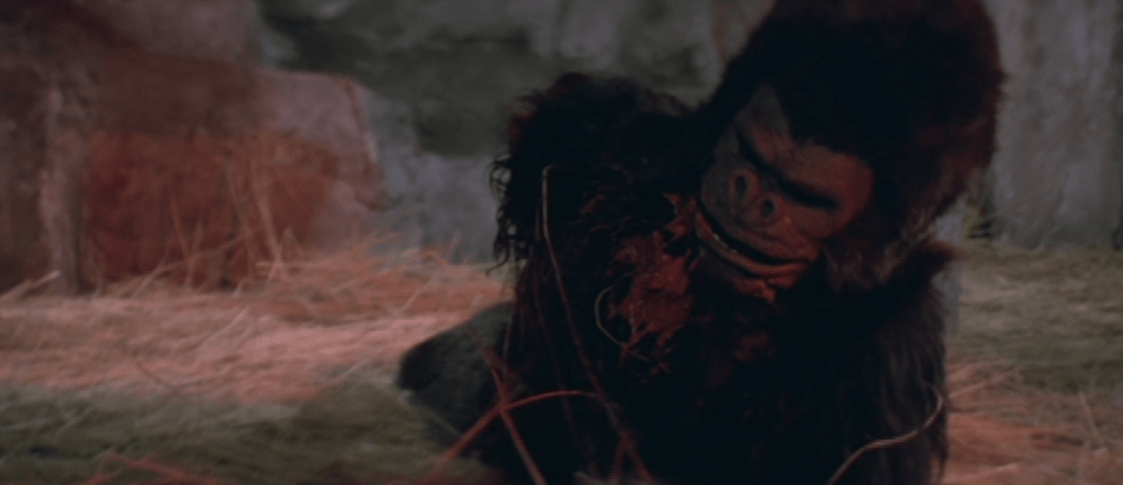 ...once he gets his arm chopped off!