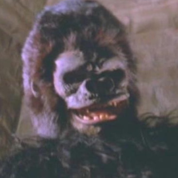 This ape won't be so happy...