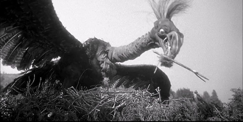 It's building a giant nest!