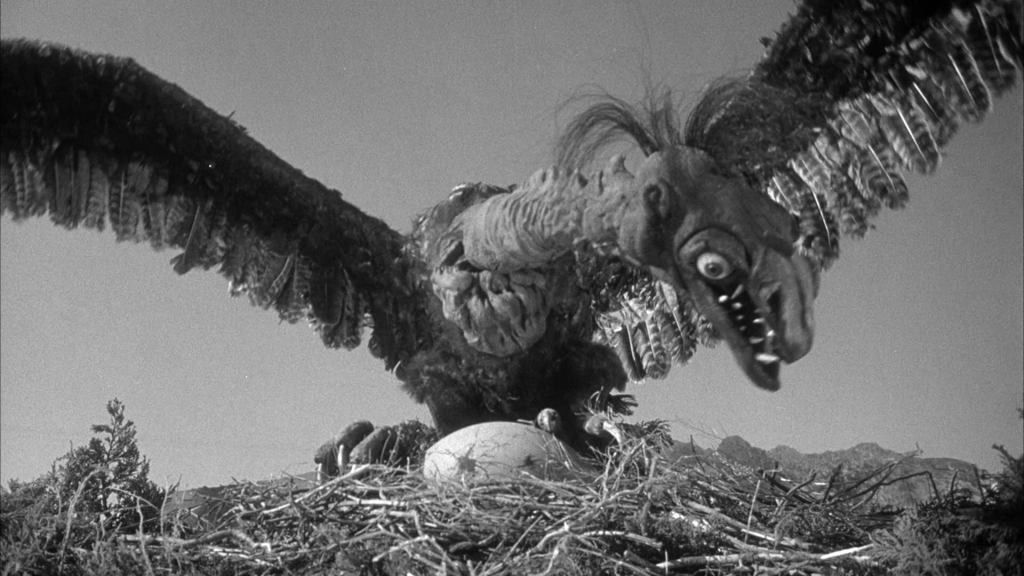 It laid a giant egg!