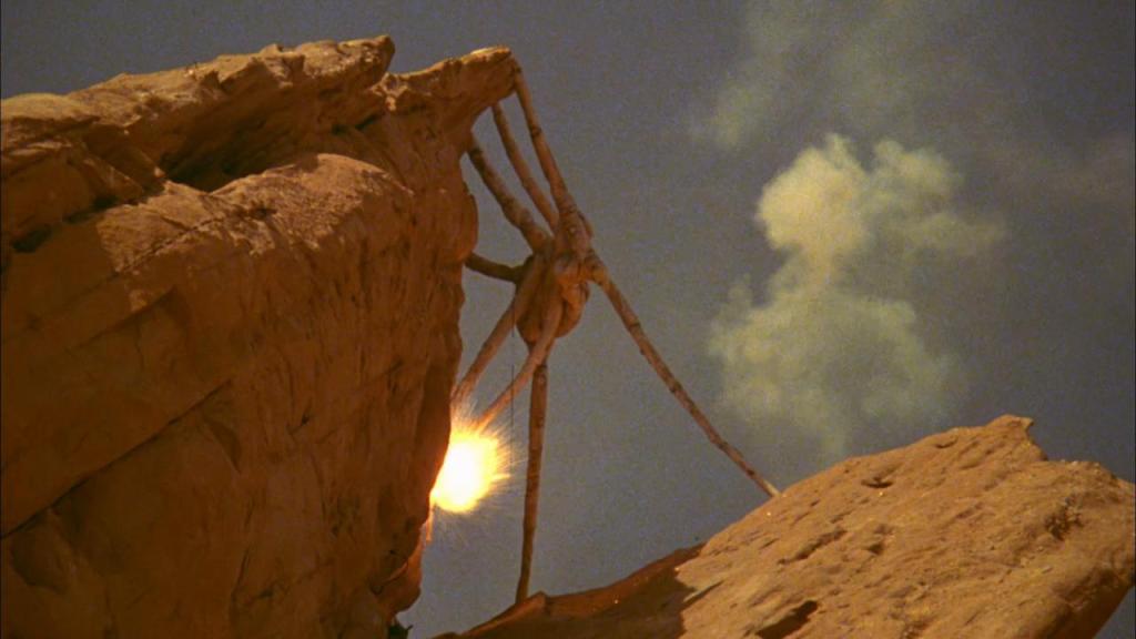 A cocoon-type thingy attached to the rocks