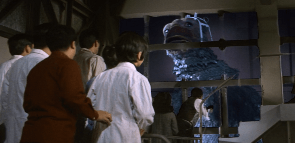 Baby Gappa is poked and prodded by humans. Bad humans!