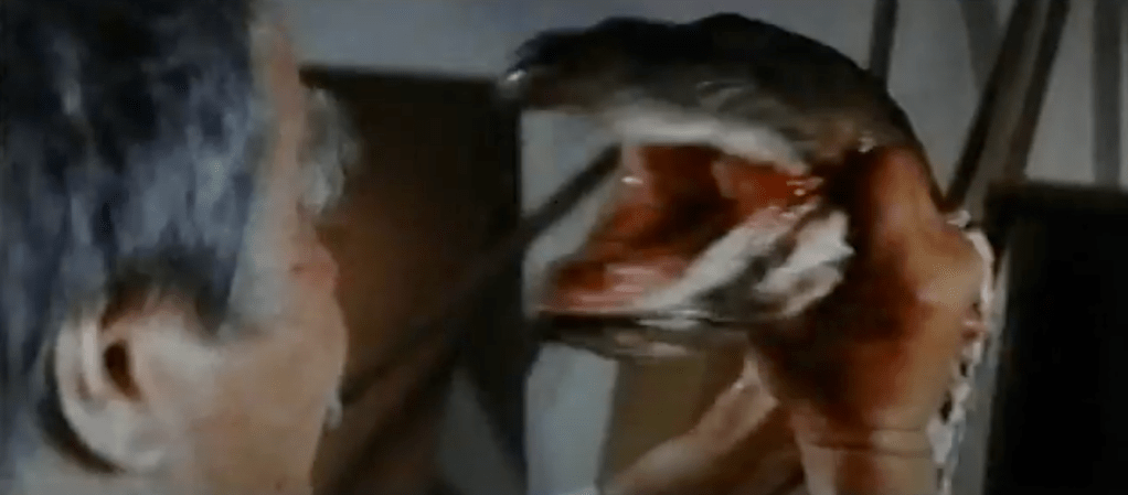 Master versus the boa!