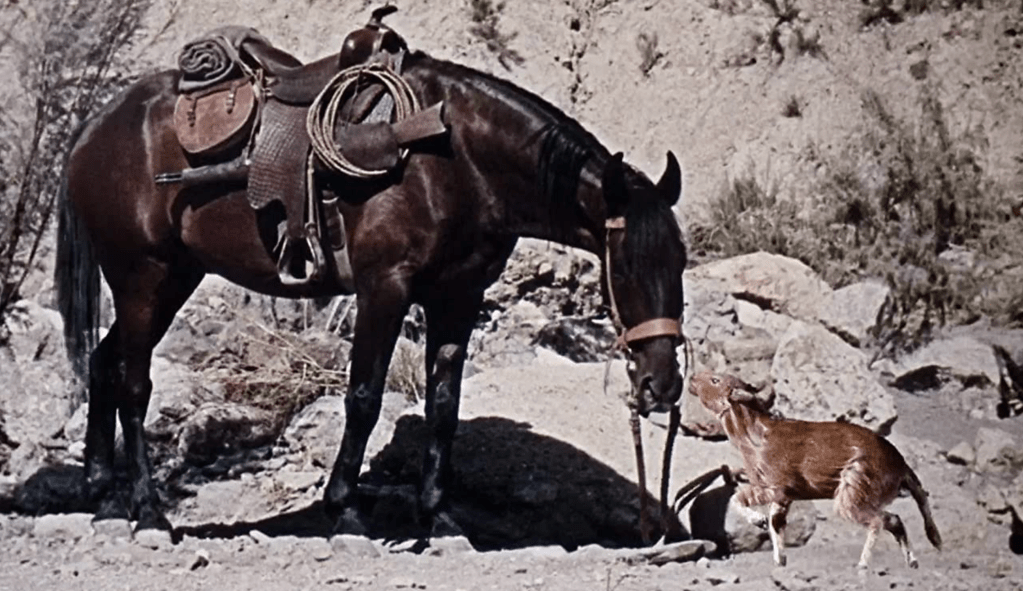 The Eohippus says 'hi' to its much bigger descendant