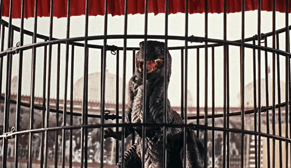 Gwangi won't be caged for long!