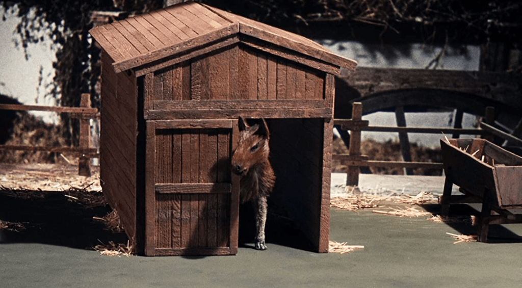 He's a sweet lil' thing, ain't he?