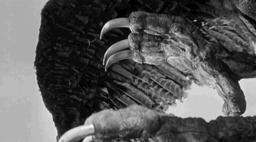 Check out those giant claws...