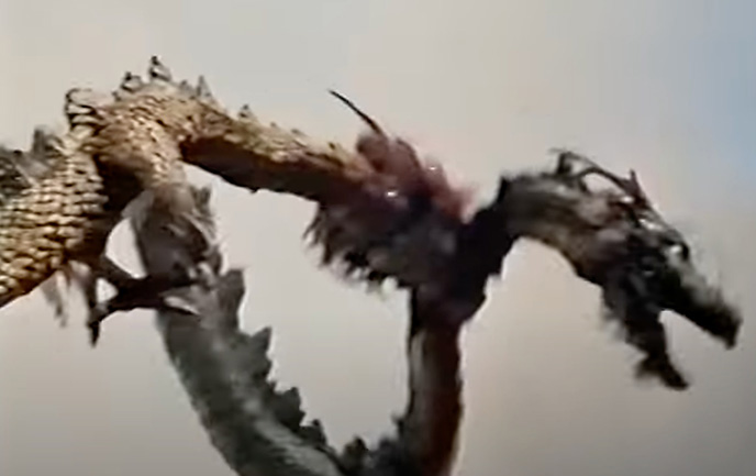 Dragon versus dragon