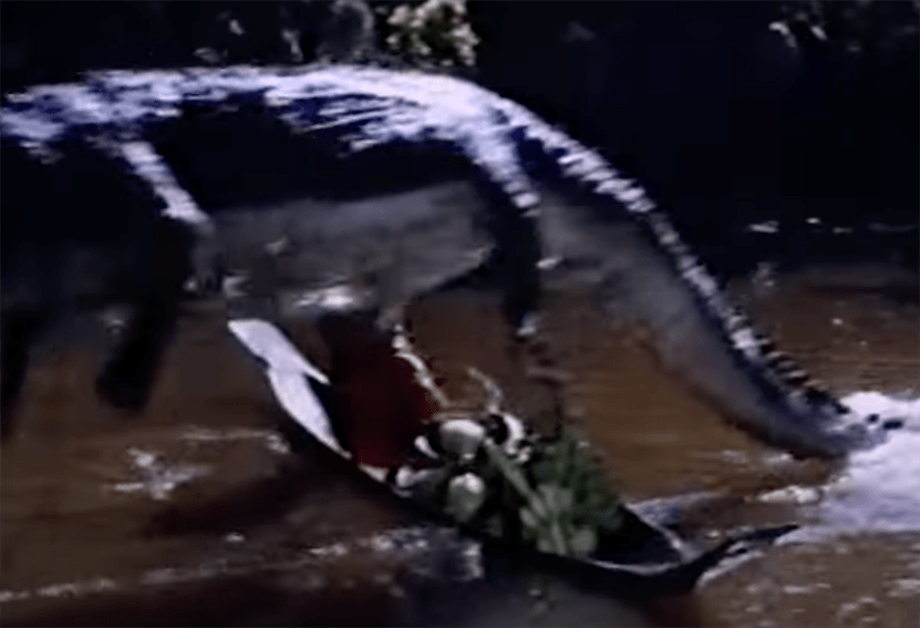 At one point one of the crocodiles glides through the air!