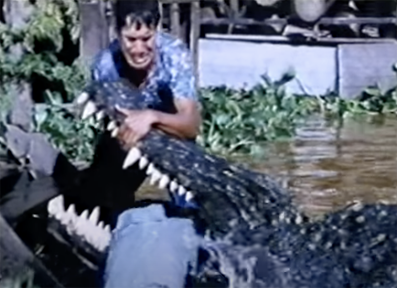 Jack makes a crocodile let go of its latest victim...