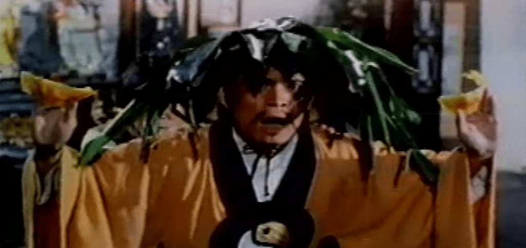 This leaf hat will make you invisible to vampires and zombies, honest!