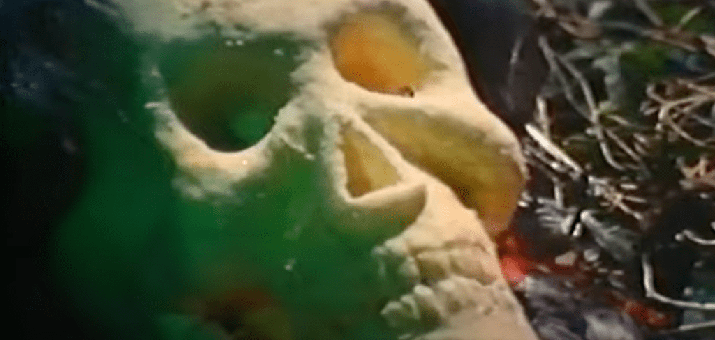 ...and she transforms into this hyper-realistic skeleton