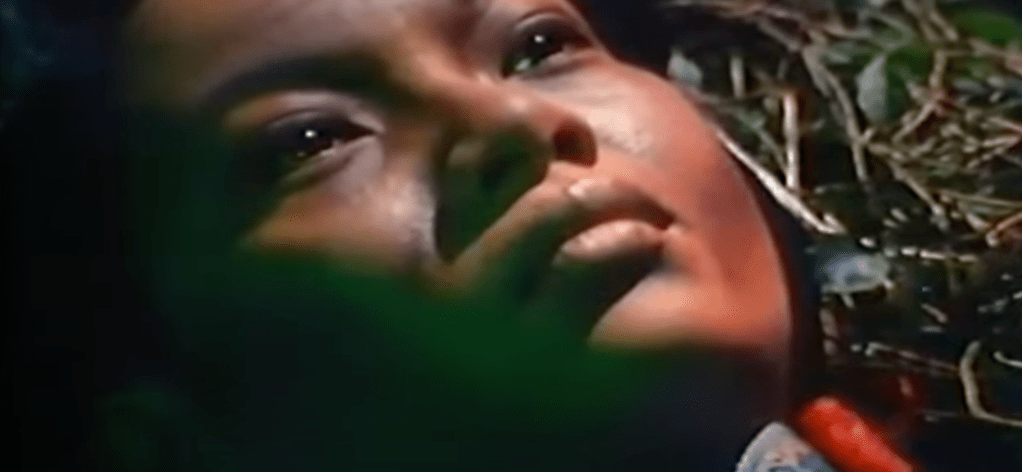 A servant girl who loves Cheng Fu and is jealous of the snail fairy is eventually killed by the snake demon...