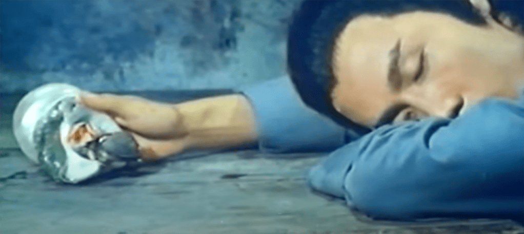 Cheng Fu falls asleep and has a dream