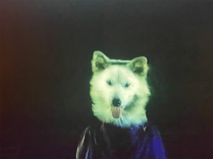 The evil Empress is briefly seen with a canine head!