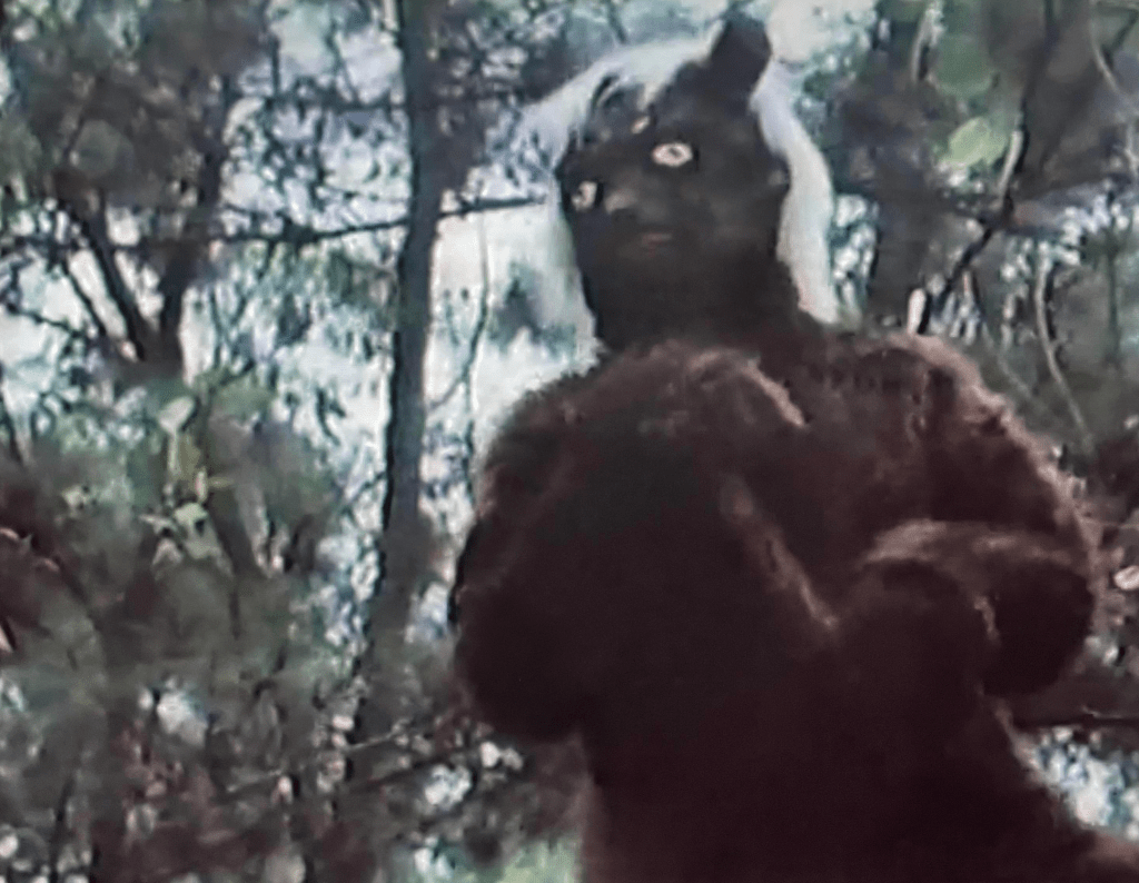 This is the fox demon teacher of the evil Empress, who is also a fox demon!