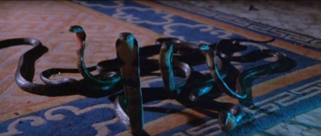 Snakes on the carpet!