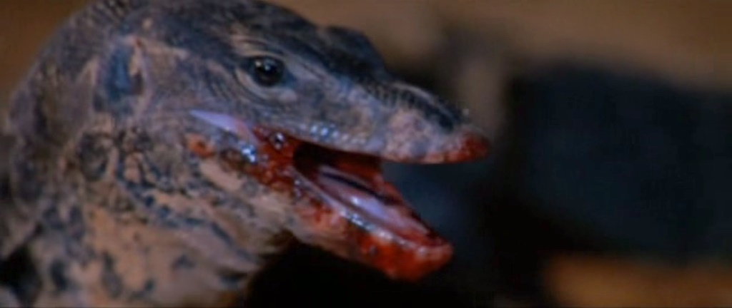 A bloody-mouthed lizard