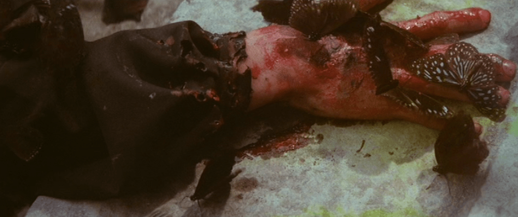 Butterflies munch on a victim's hand