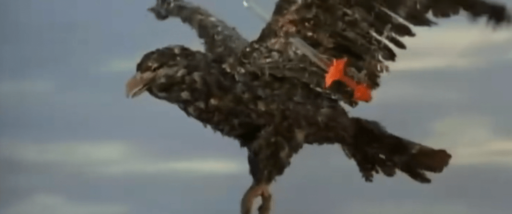 Na Cha throws a sword into the devil eagle's wing