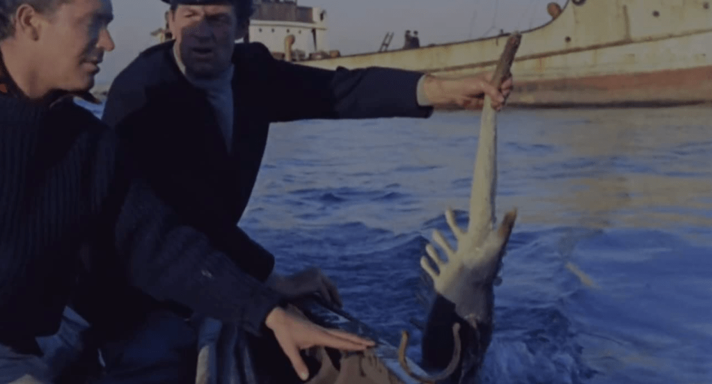 Some weird, dead sea creatures are discovered before Gorgo makes its appearance