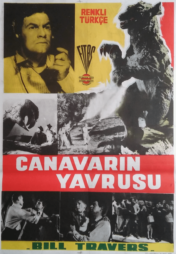 Turkish poster