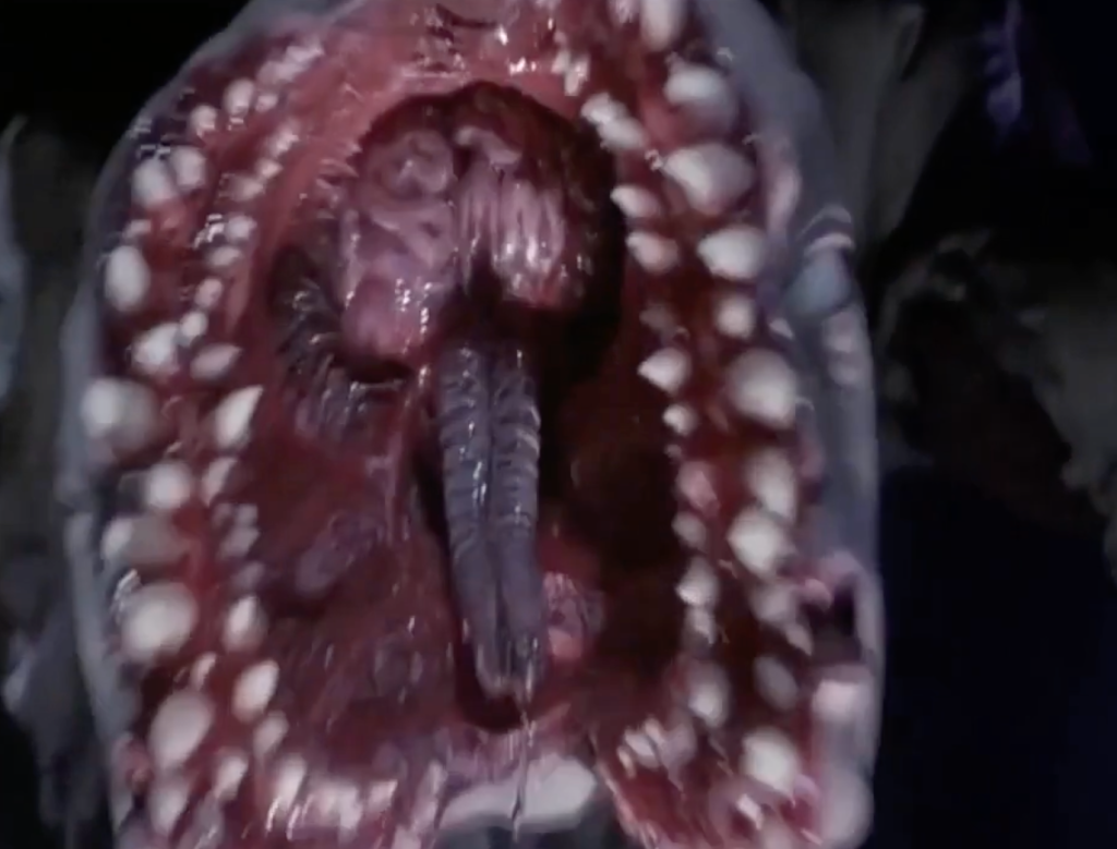 A look inside the Hell's Envoy Monster's mouth