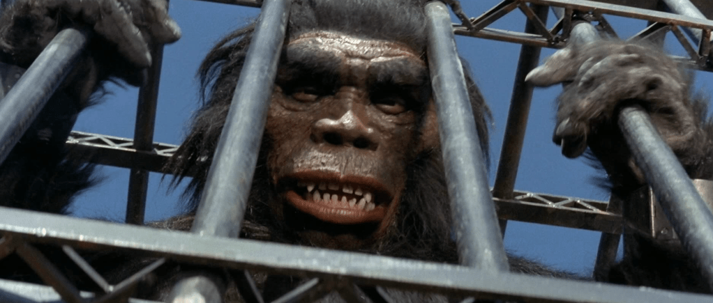 He ain't gonna stay captive for long