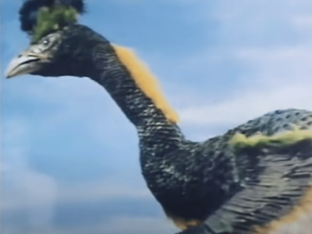 It's the huge phoenix!