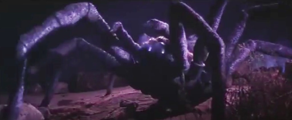 And yet another pic of the arachnid!