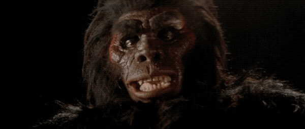 Beauty and the beast