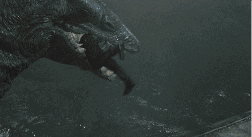 The life-size Tylosaurus model head in action